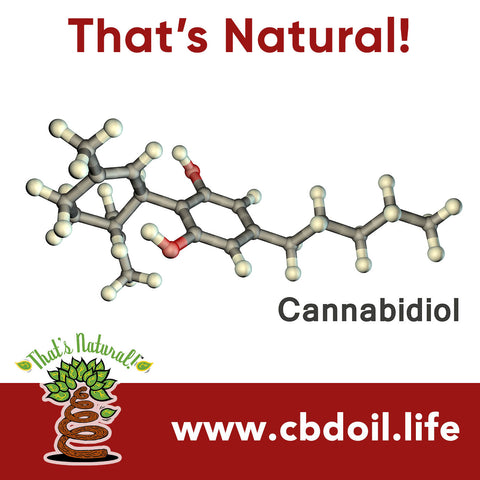 CBD Isolate versus Full Spectrum CBD product - what is better CBD, isolate versus oil, CBD isolate versus CBD oil, CBD isolate vs. CBD oil, That's Natural full spectrum oil, CBD from hemp, hemp-derived CBD, legal in all 50 States - Thats Natural www.cbdoil.life, cbdoil.life