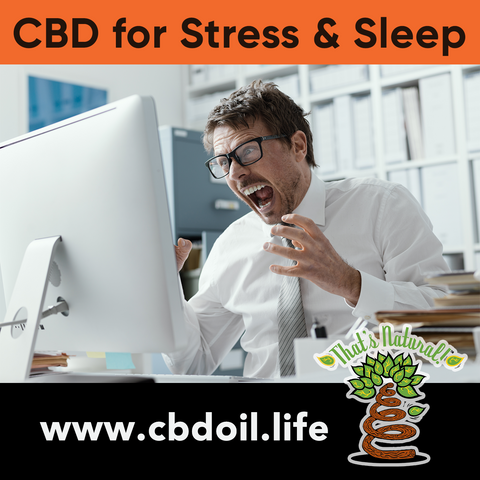 CBD for sleep, CBD for stress, CBD for anxiety, St. Regis Spa, Remede Spa, St Regis Aspen Colorado, CBD, Saint Regis Hotel, That's Natural CBD, Ritz Carlton,Denver, Omni Hotel, Scottsdale, That's Natural massage, Muscle Rub, Muscle Jelly, Body Lotion, CBD for massage, CBD for pain relief ,most trusted CBD brand, CBD Spa products, CBD for massage, CBD for facials, most trusted CBD from That's Natural at cbdoil.life and www.cbdoil.life - Thats Natural Entourage Effect, CBD creme, CBD cream, CBD lotion