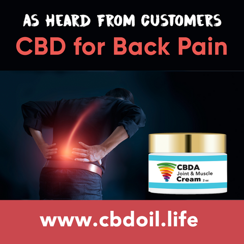 most trusted CBD company, CBDA, CBDA Oil, CBDA creme, CBDA cream, CBDA for pain, CBDA for anxiety, the best CBD brand That’s Natural full spectrum CBD oil products with cannabinoids and terpenes, Life Force Market Austin Texas, Lakeway TX, 78734, CBD, CBDA, CBC, CBG, CBN, Cannabidiol, Cannabidiolic Acid, Cannabichromene, Cannabigerol, Cannabinol; beta-myrcene, linalool, d-limonene, alpha-pinene, humulene, beta-caryophyllene - find at cbdoil.life and www.cbdoil.life