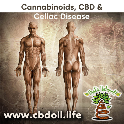 Cannabinoids like CBD may help people who suffer from #Celiac disease.  We all have cannabinoid receptors in our body through our Endocannabinoid System. Learn more at www.cbdoil.life