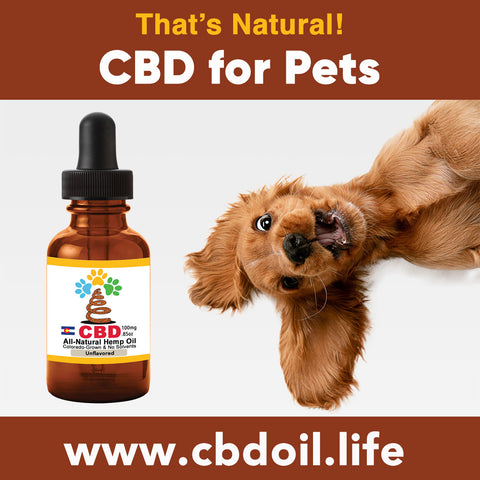 most trusted CBD for pets, best-rated CBD for dogs, best CBD for great danes, best CBD for chihuahuas, CBD for pets, CBD for dogs, CBD for cats, CBD for birds, CBD oil for animals, That’s Natural, Can CBD help animals, hemp-derived CBD, legal That’s Natural Topical Products, full spectrum CBD Oil, entourage effects, cbdoil.life, www.cbdoil.life, legal in all 50 states, thatsnatural.info, www.thatsnatural.info