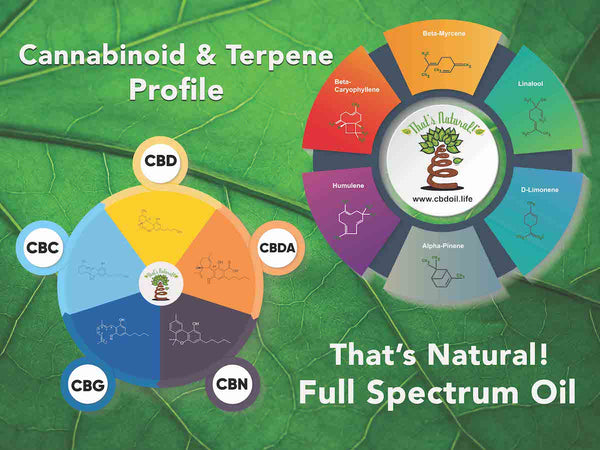 hemp-derived CBD, legal hemp CBD, The That’s Natural cannabinoids include: CBD (Cannabidiol), CBDa (Cannabidiolic Acid), CBC (Cannabichromene), CBG (Cannabigerol), and CBN (Cannabinol) - Entourage Effect - see more from Thats Natural at www.cbdoil.life, cbdoil.life, and www.thatsnatural.info see more from Thats Natural at www.cbdoil.life and find us an our Life Force Market outside of Basalt, Colorado in the Aspen Valley next to the Willits Gas Station #ThatsNatural #lifeforce #cod #cbdoil Beta-Caryophyllene, Anti-Bacterial, Terpenes, Cannabinoids, full spectrum, That’s Natural, Thats Natural, CBD oil, hemp, cbd from hemp, legal in all 50 states, Mitch McConnell, Jeff Sessions, cbdoil.life. www.cbdoil.life, thatsnatural.info, www.thatsnatural.info