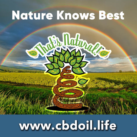 most trusted CBD, best rated CBD, That's Natural full spectrum raw CBD - entourage effect - Precious plant compounds in That's Natural full spectrum CBD-rich hemp oil include other cannabinoids besides CBD (CBDA, CBC, CBG, CBN), terpenes (beta-myrcene, linalool, d-limonene, alpha-pinene, humulene, beta-caryophyllene) and polyphenols - See more about safe and effective hemp-derived CBD oil from Thats Natural at www.cbdoil.life and cbdoil.life and www.thatsnatural.info