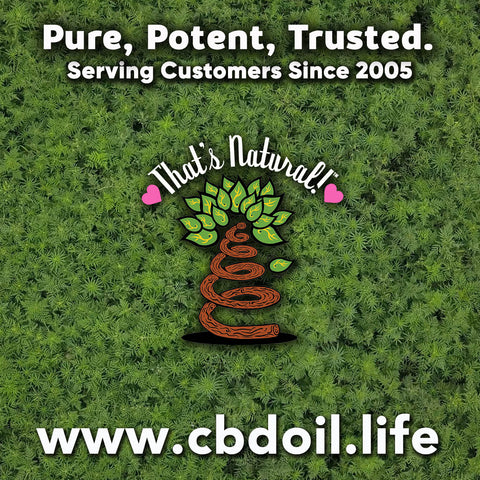 most trusted CBD products, best-rated CBD, CBD that actually works, CBD and CBDA Oil from That's Natural - pure CBD, potent CBD at www.cbdoil.life and cbdoil.life- Blog at www.thatsnatural.info