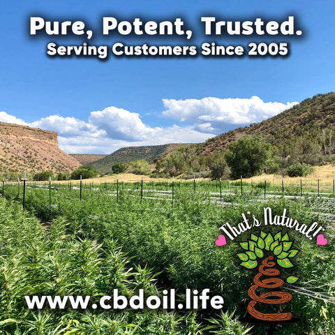 most trusted CBD, best-rated CBD, family-owned CBD company, legal hemp CBD, hemp legal in all 50 States, hemp-derived CBD, Thats Natural topical CBD products, CBDA, CBDA Oil, Life Force with biodynamic Colorado hemp - That’s Natural CBD Oil from hemp - whole plant full spectrum cannabinoids and terpenes legal in all 50 States - www.cbdoil.life, cbdoil.life, www.thatsnatural.info, thatsnatural.info, CBD oil testimonials, hear from customers of CBD oil products