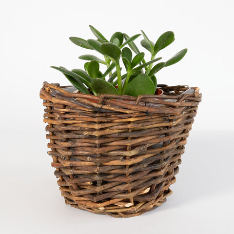 Beckwith woven planter from Tonic Living