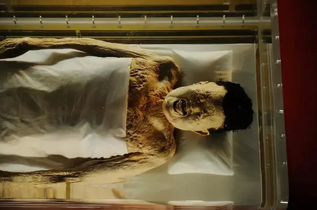 Mawangdui Tomb No. 1 was unearthed in Changsha, China in 1972. It is a well-preserved female corpse from 206 BC to 24 AD, with her hair well preserved.