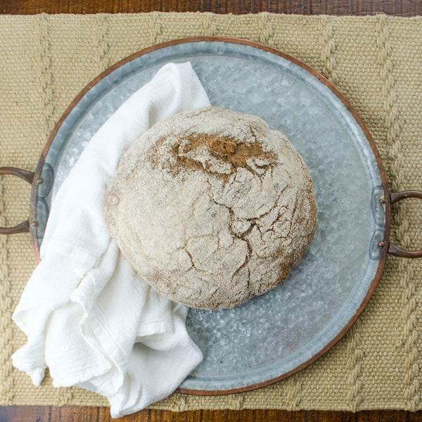 no-knead whole wheat bread recipe