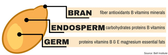 whole wheat wheat berries wheat flour what is a wheat berry