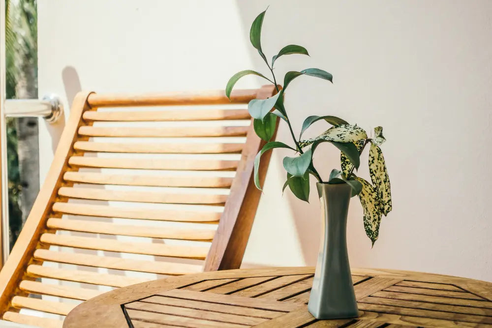 Photo d'une terrasse en bois pendant l'été, une chaise en bois avec une table basse en bois et une plante verte posée sur la table