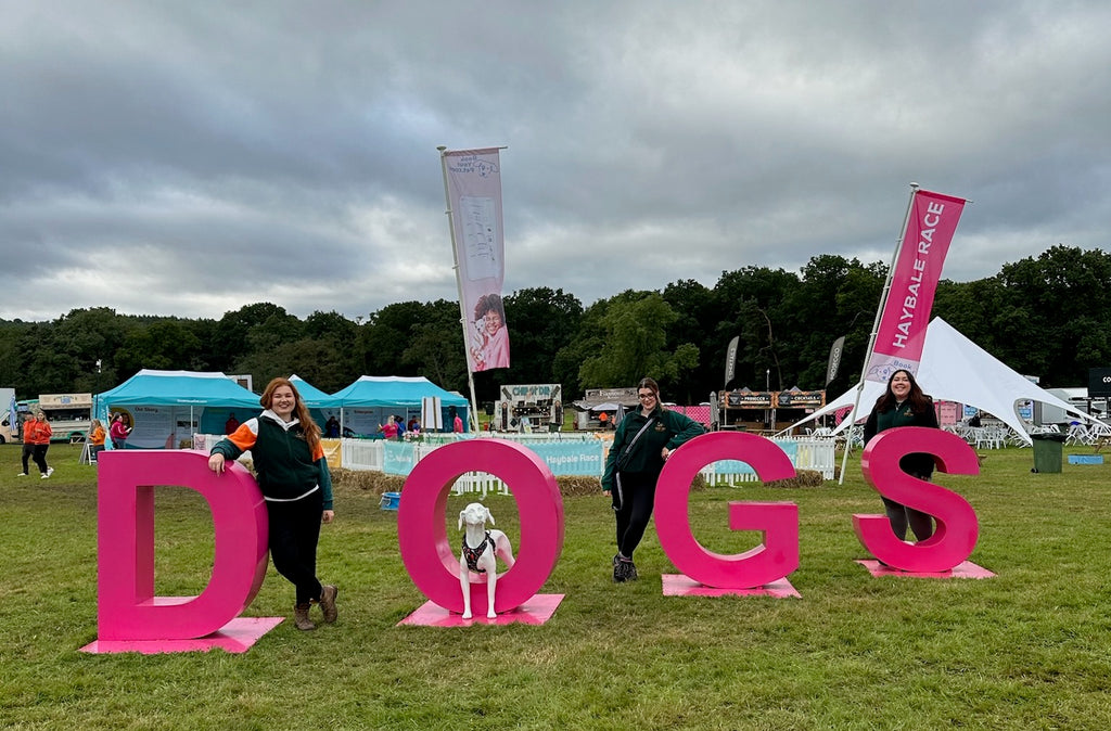 twiggy tags team posing with dogs sign at dogfest