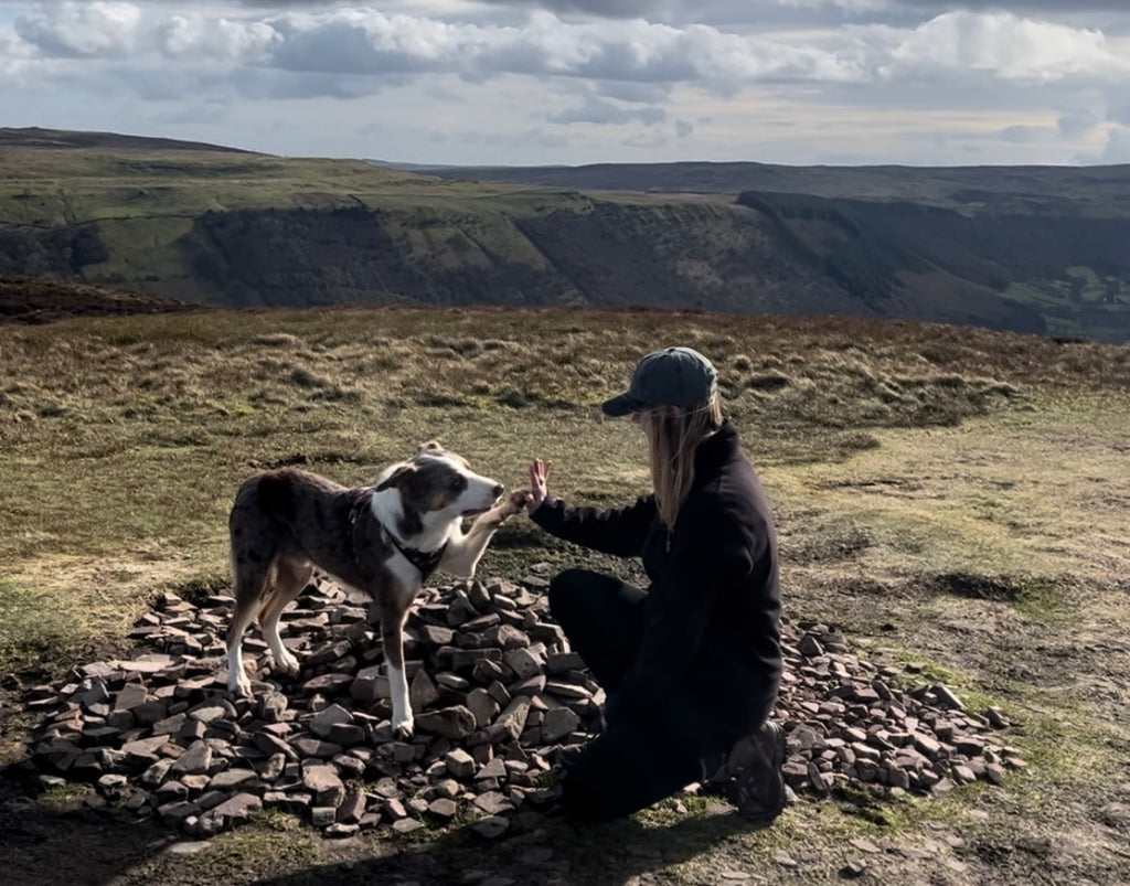 border collie doing high five paw trick on mountain with owner wearing twiggy tags