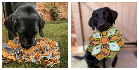 black labroador with lickimat, enrichment games and snuffle mats to help keep dogs calm on firework and bonfire night