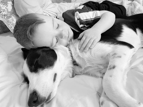 young child cuddling up to border collie dog in black and white photo, snuggling on the bed