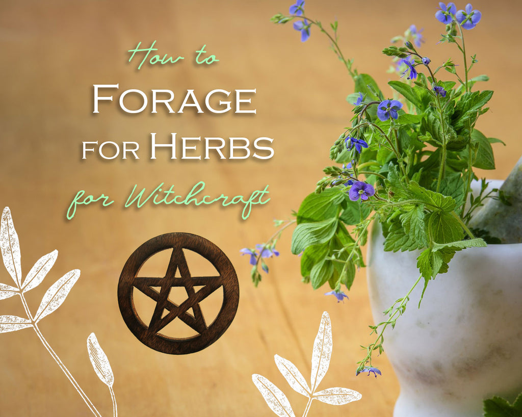 How To Forage for Herbs for Witchcraft