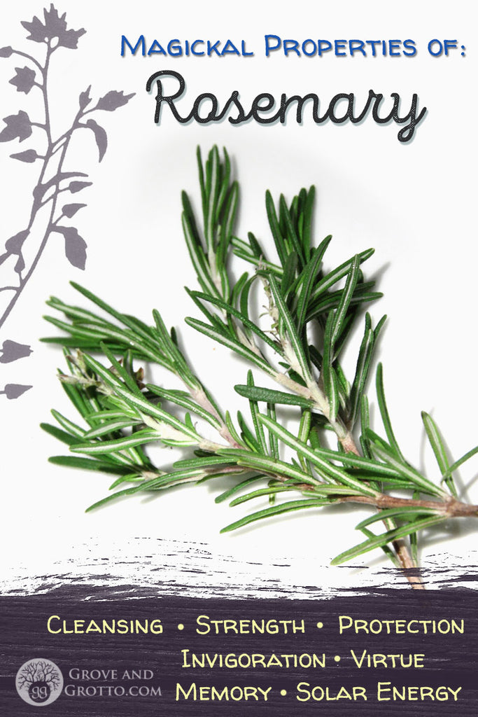 Rosemary Leaf Herb  Purification, Protection, Memory