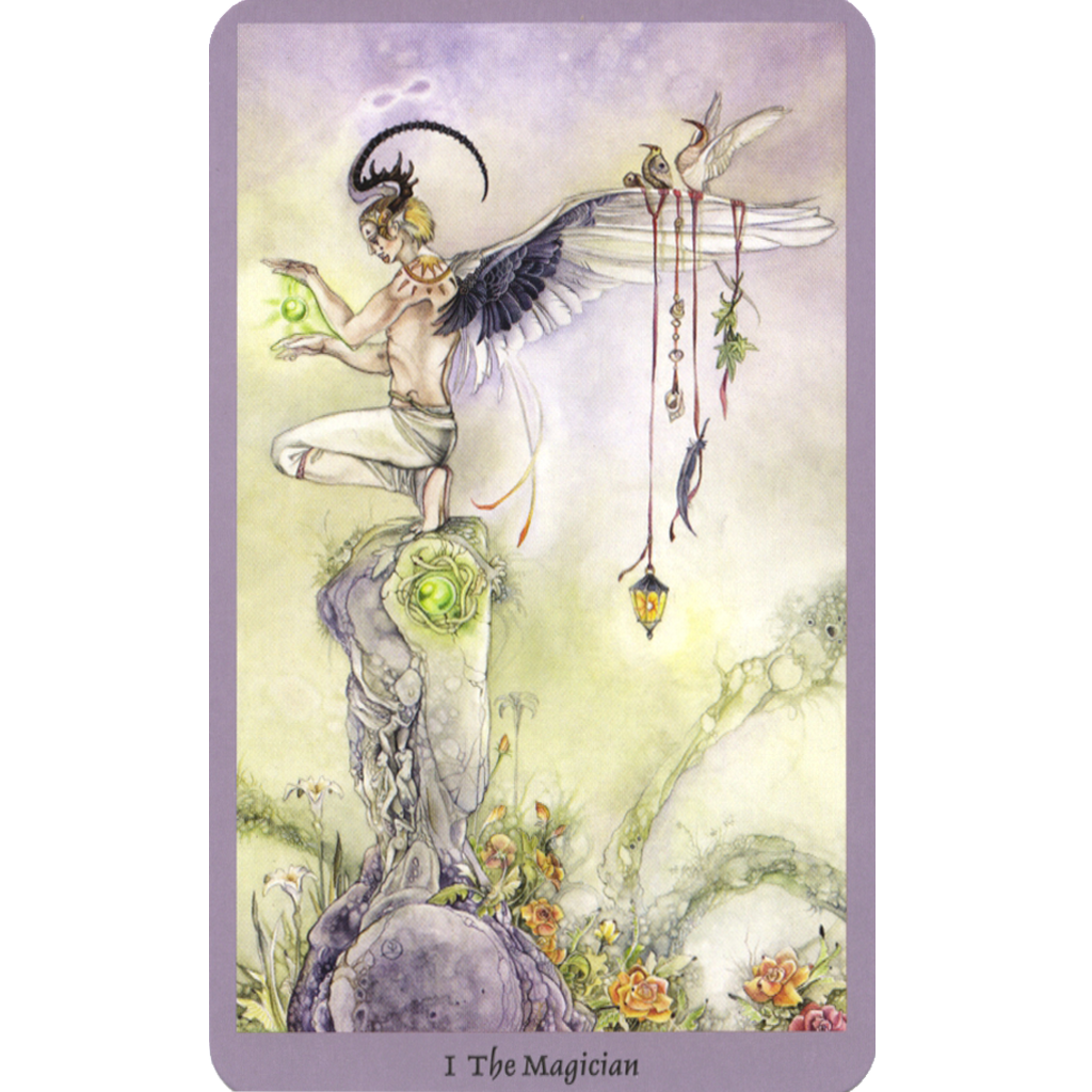 Shadowscapes Tarot (Boxed Set)