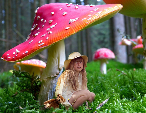 Hiding from the rain under a mushroom