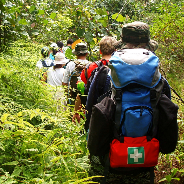 Hiking in Jungles