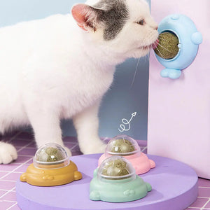 Rotating Catnip Wall Ball - AiroPaws™