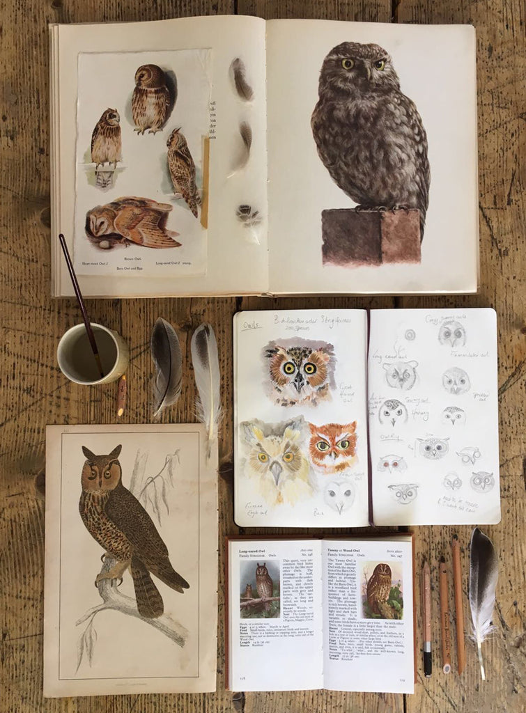 Catherine Hills sketchbook, owl ring