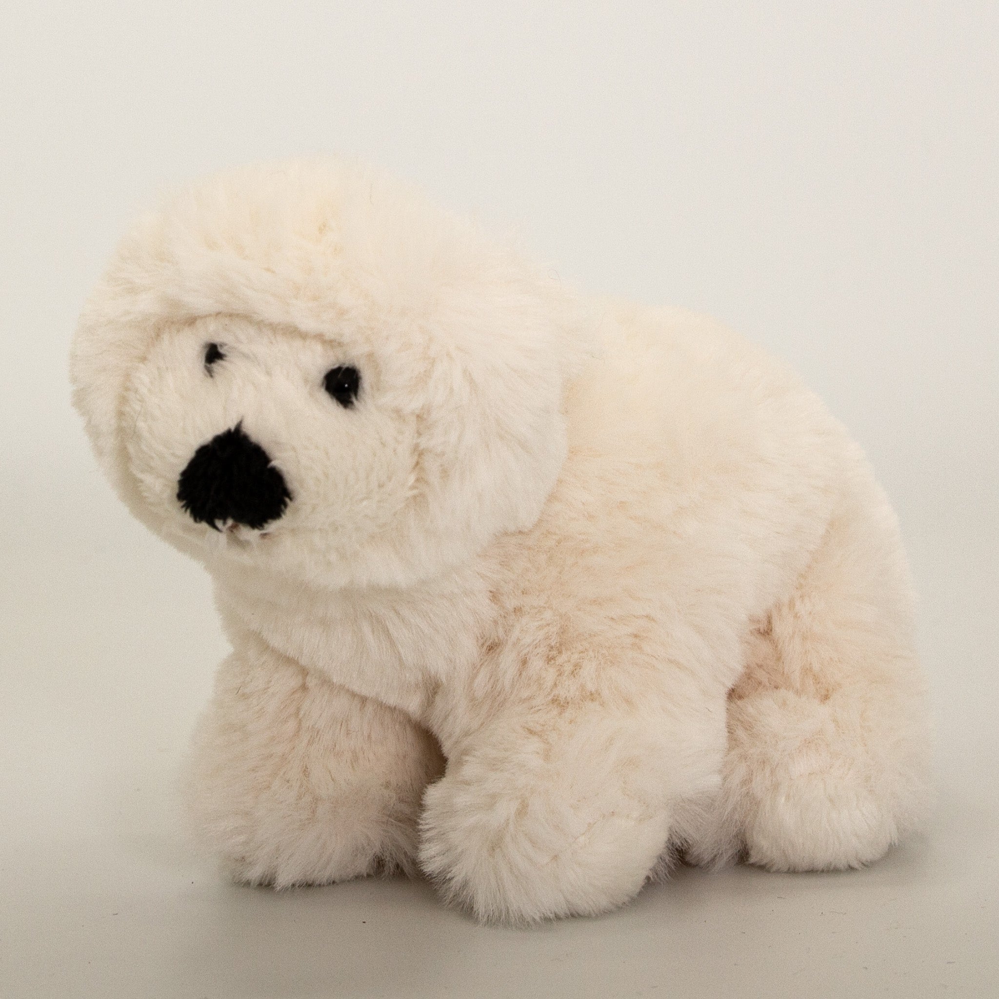 bukowski teddy bears online