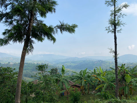 Pictured: View near Sholi Cooperative