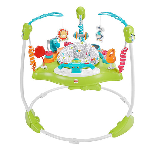 Fisher-Price Baby Bouncer Palm Paradise Jumperoo Activity Center With Music  Lights Sounds And Developmental Toys