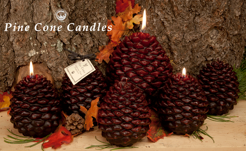 Pine Cone Candles