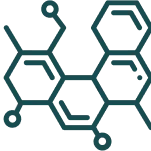 Vector_10.webp__PID:997d295c-97a6-41f1-9d11-b9f653db030c