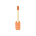 Kapatıcı Peach Perfector Lowlighter