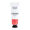 Misty Likit Allık 10 ml