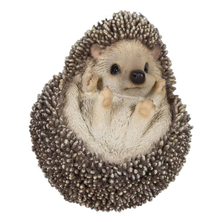 Hedgehog – Summit Collection Gifts