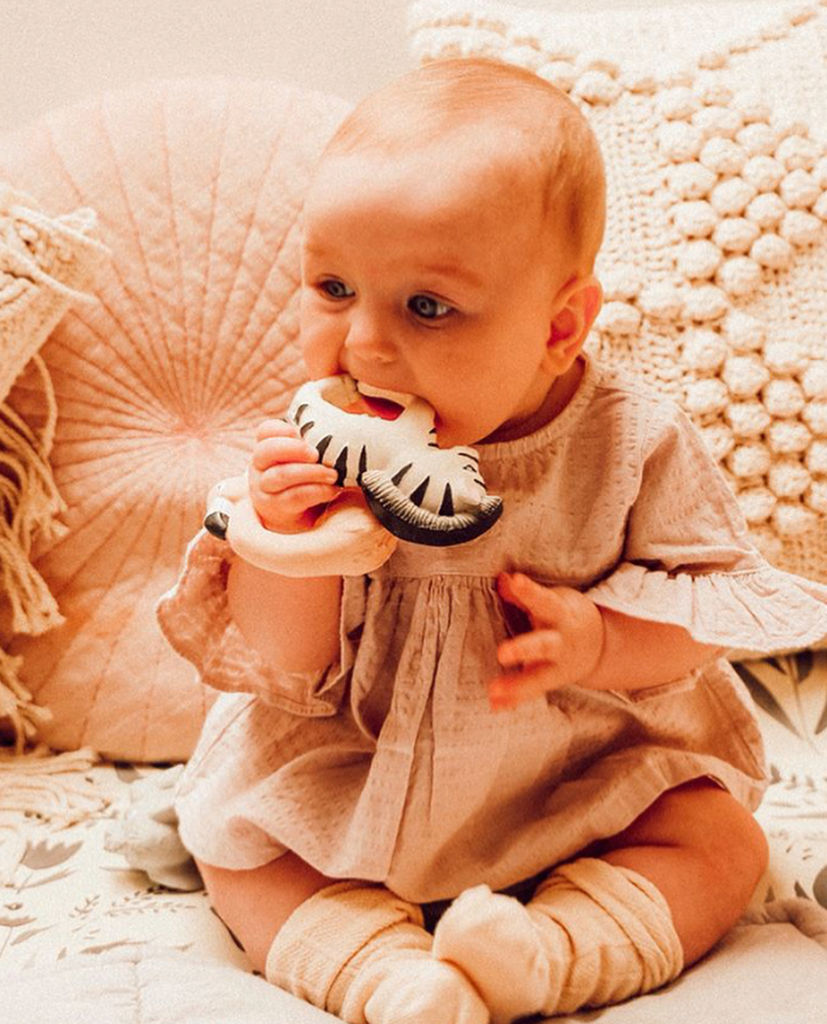 Teething Toys For Babies at The Corner Booth