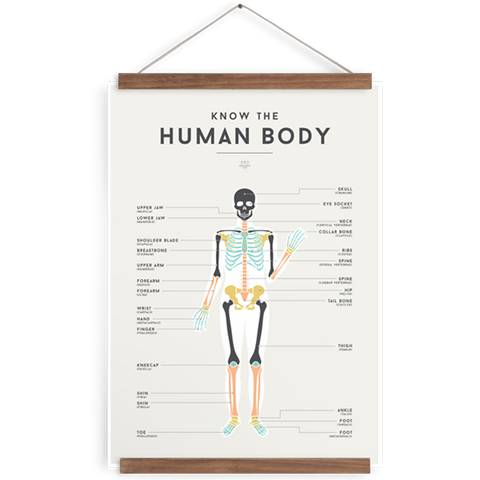 Human Body We Are Squared Poster at The Corner Booth