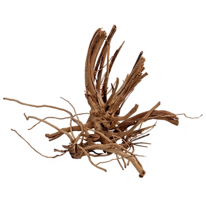 WIO Wood - Blondspider - Cuboid Aquatics LLC