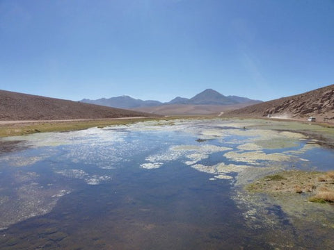 Freshwater Lagoons Near San Pedro de Atacama, Chile