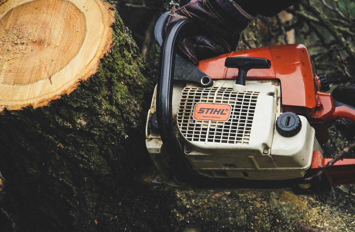 6. Trees and landscaping: Check for further information before you chop