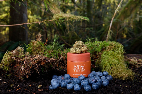 Image of Blue Dream Cannabis on top of product container