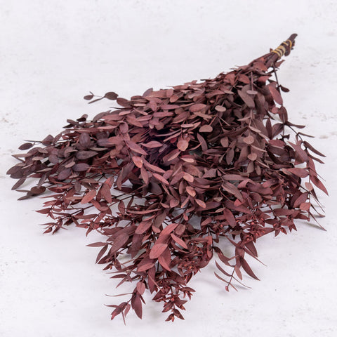 Eucalyptus Parvifolia, Preserved Red, 150g