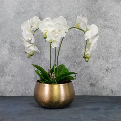 A white, faux Phalaenopsis orchid in a gold pot cover.
