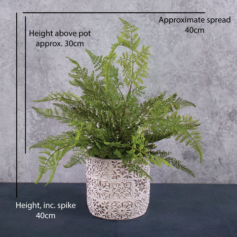 Faux Wood Fern shown in pot