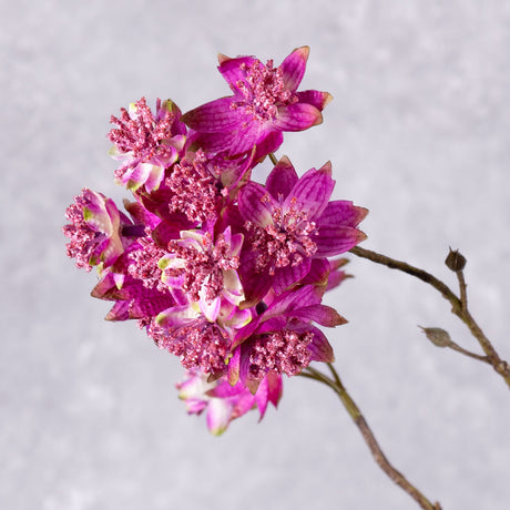 Chrysanthemum (Silk-ka), Artificial, Pink, 78cm – Atlas Flowers