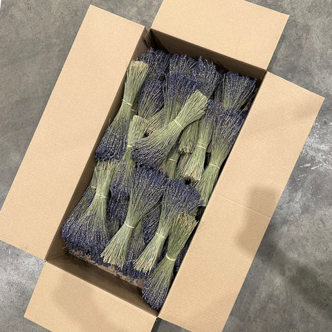 Lavender, Dried, Extra Blue, Box of 40 Bunches