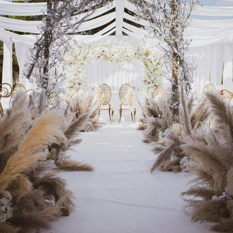 An wedding aisle that has been lined with tall, fluffy pampas grass stems.