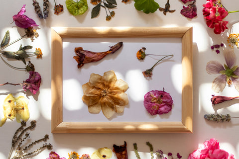 A wooden frame surrounding a selection of dried flowers, with even more encircling its perimeter.
