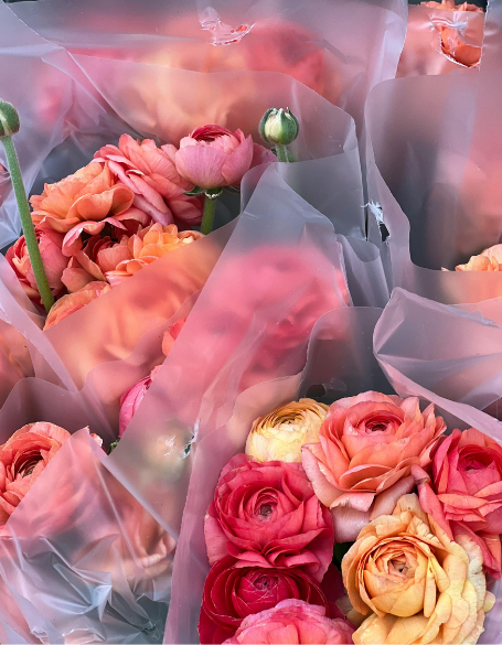 Same day flower delivery Toronto – Toronto flowers gifts - Flower Gifts