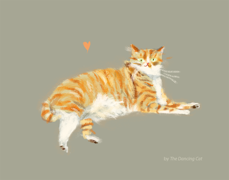 orange tabby cat prints
