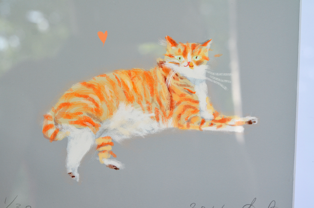 orange tabby cat prints