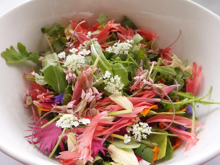 Buy Fresh Edible Flowers Delivered In Ottawa Mid May To Mid October Ottawa Edible Flowers